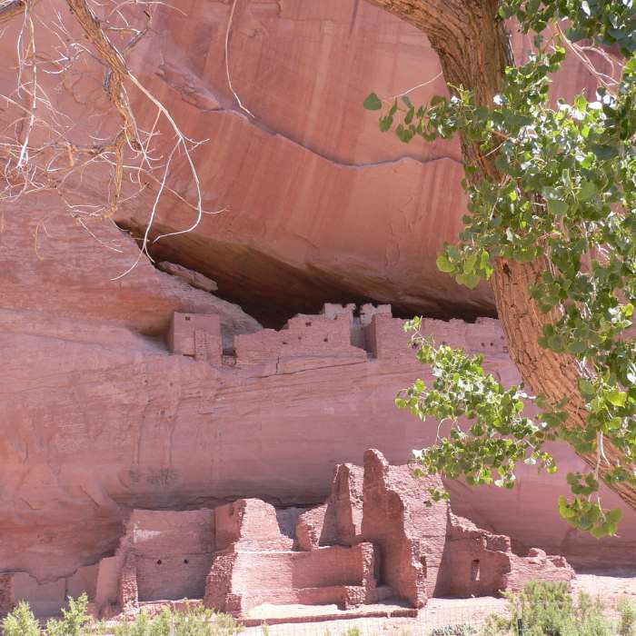 Near White House Trail