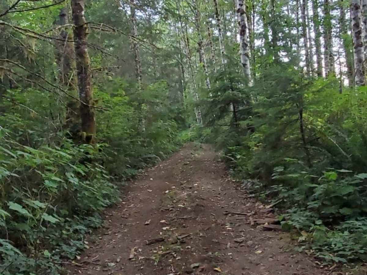 River Road photo 6