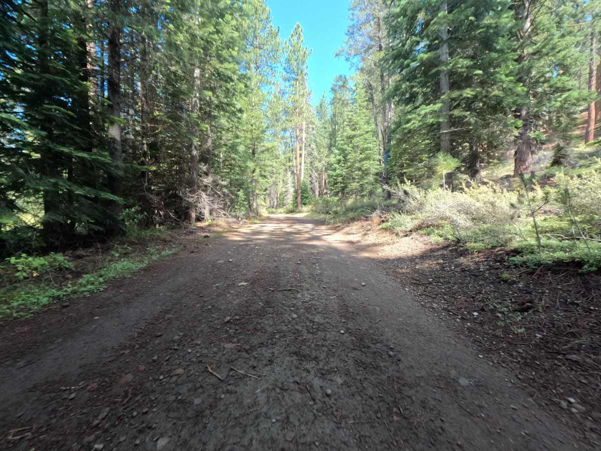 Jackass Point Spur - FS 01-003 photo 6