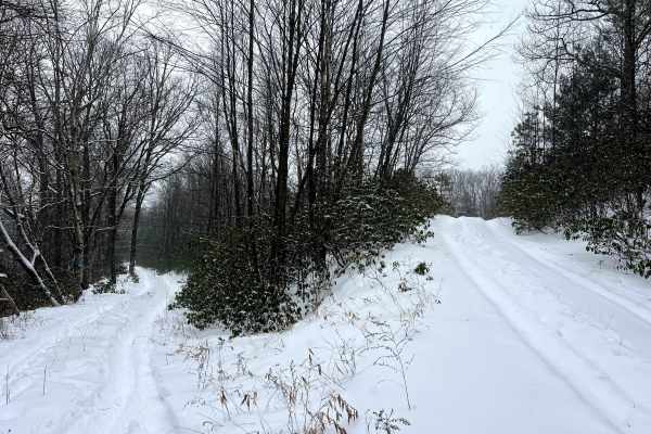 Tin Shanty Spur Trail
