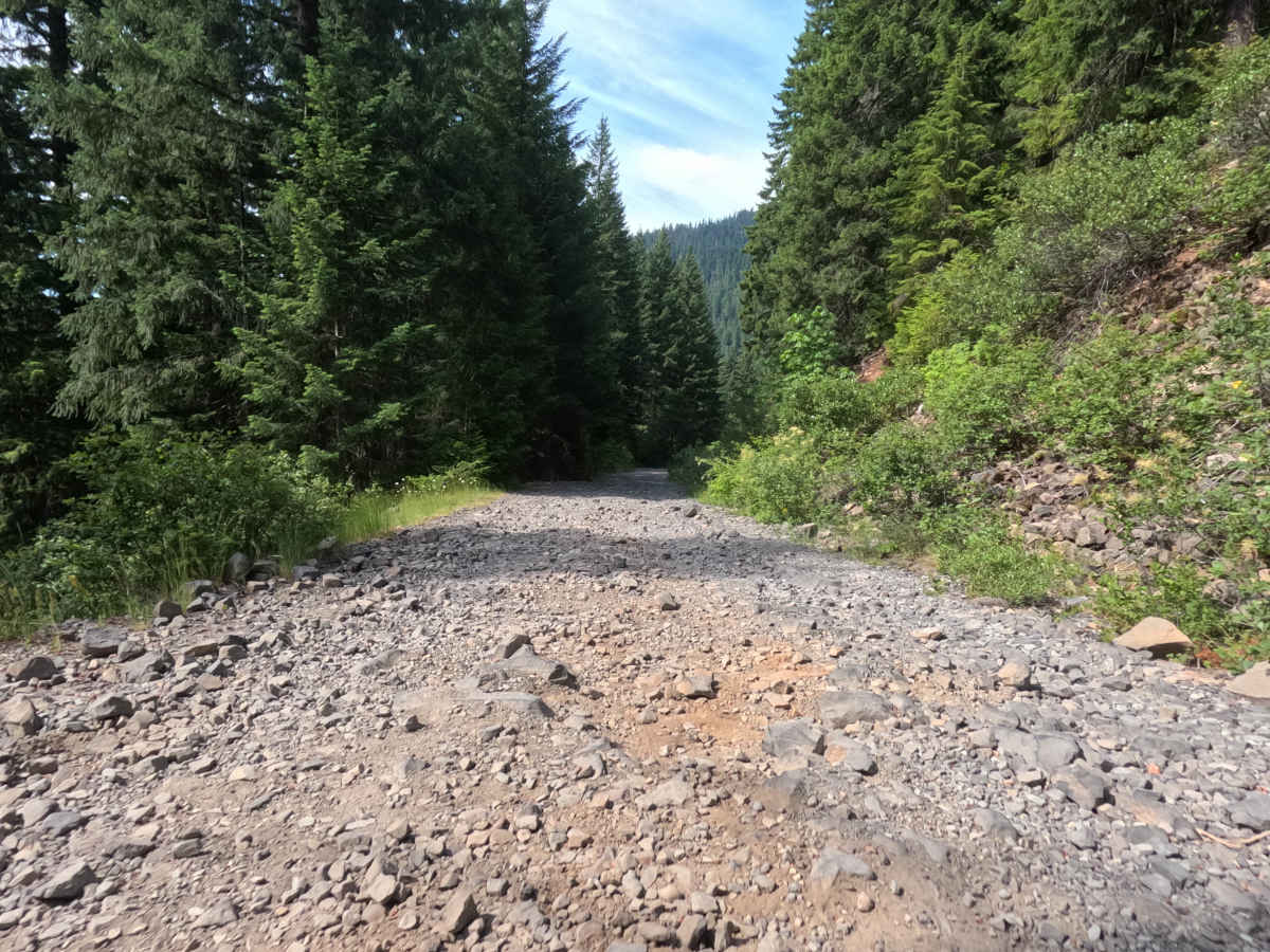 Elk Lake - FS 4697 photo 6