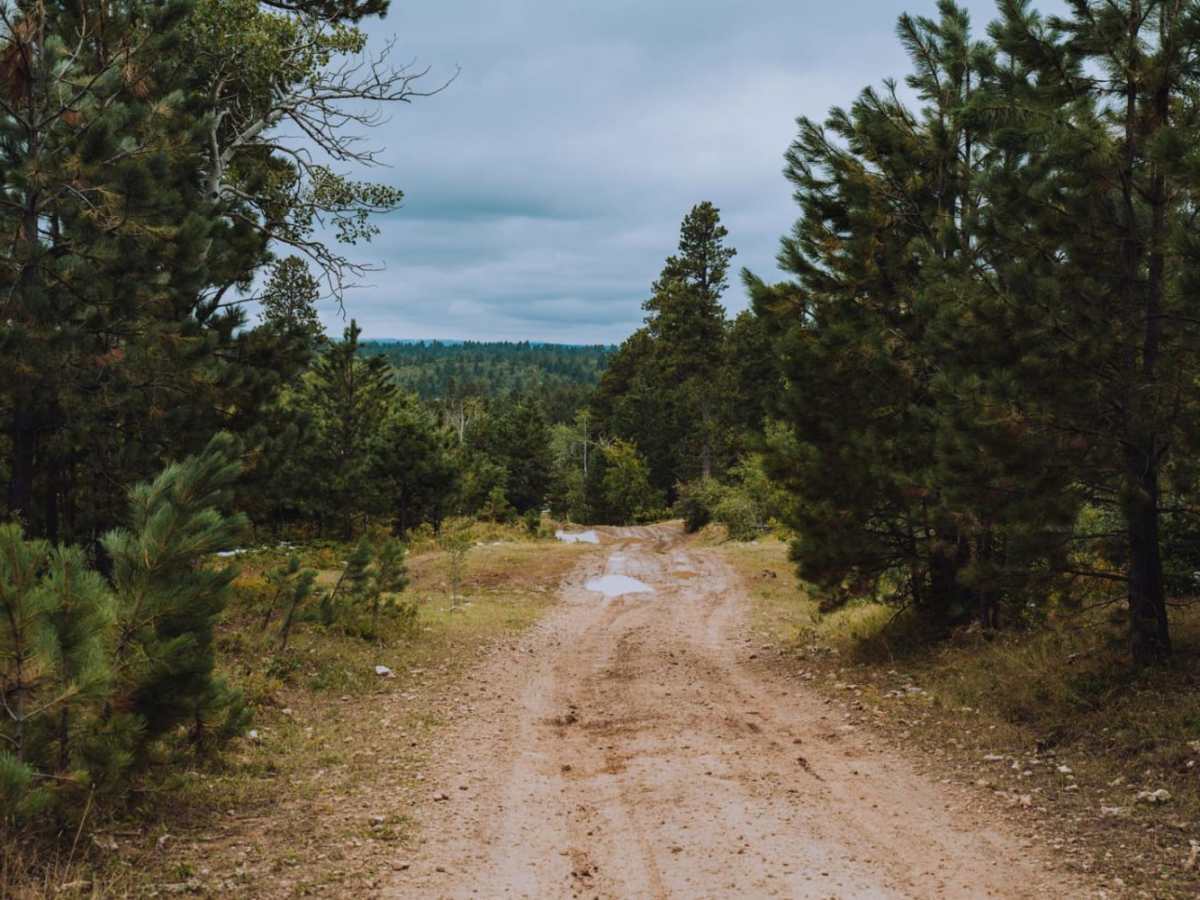 Game Farm trail photo