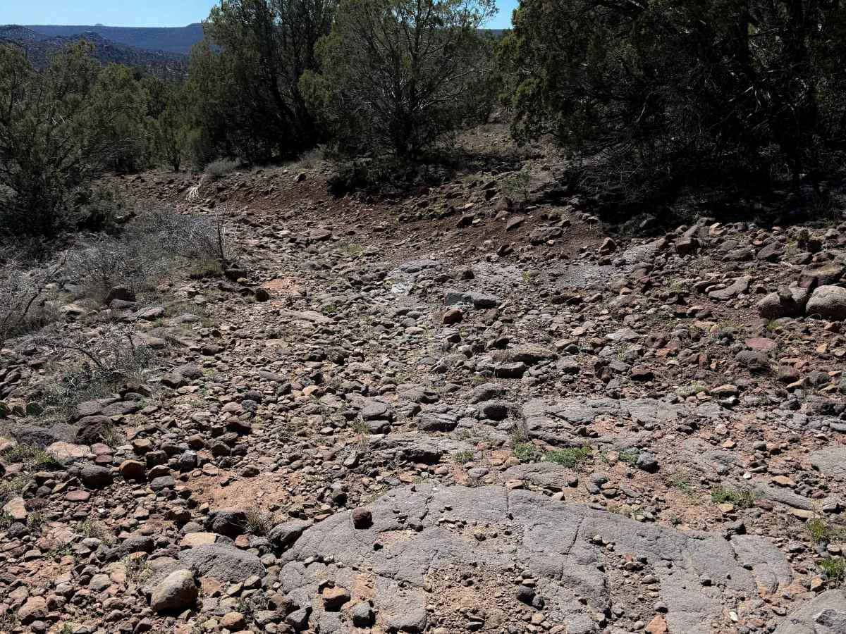 Tailhoit Mesa Trail #666  photo 5