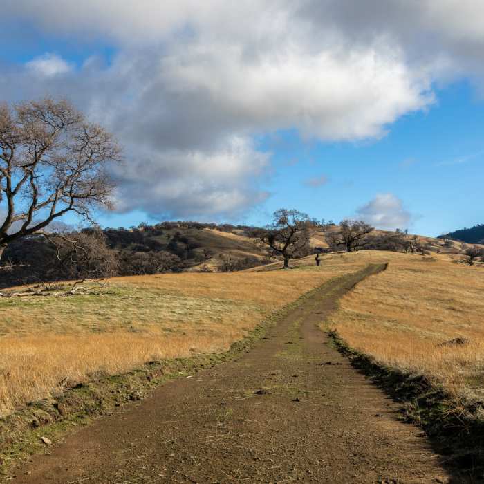 Near Rowell Ridge Trail