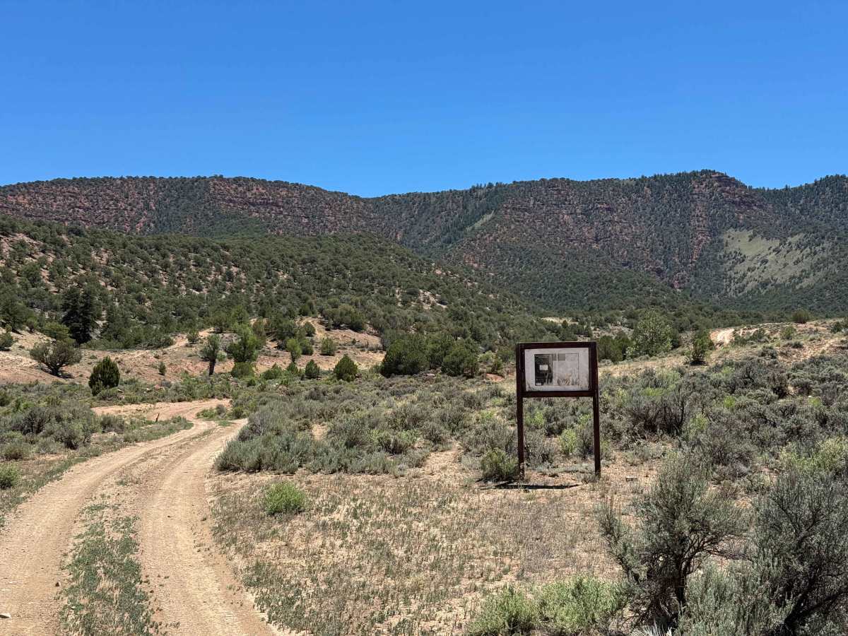 BLM 8479 photo 6