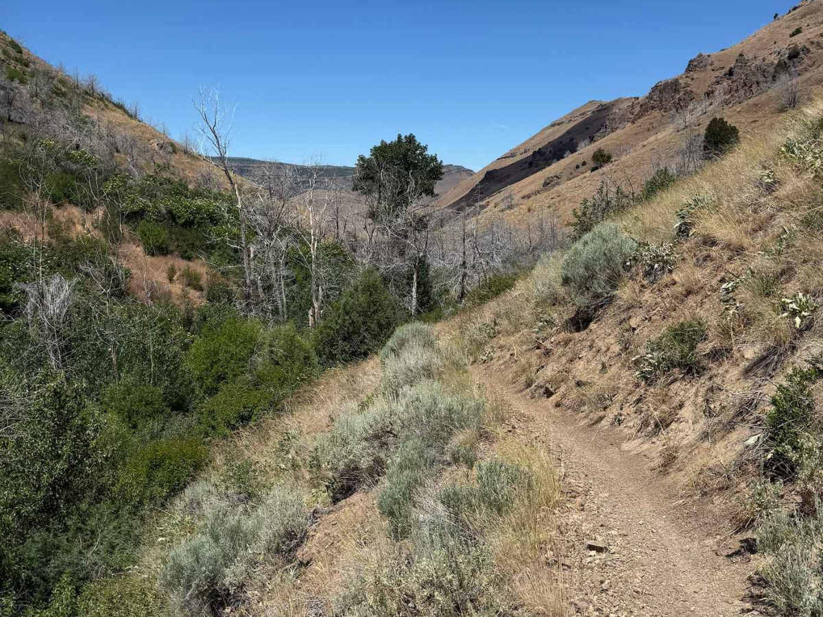 First Fork photo 4