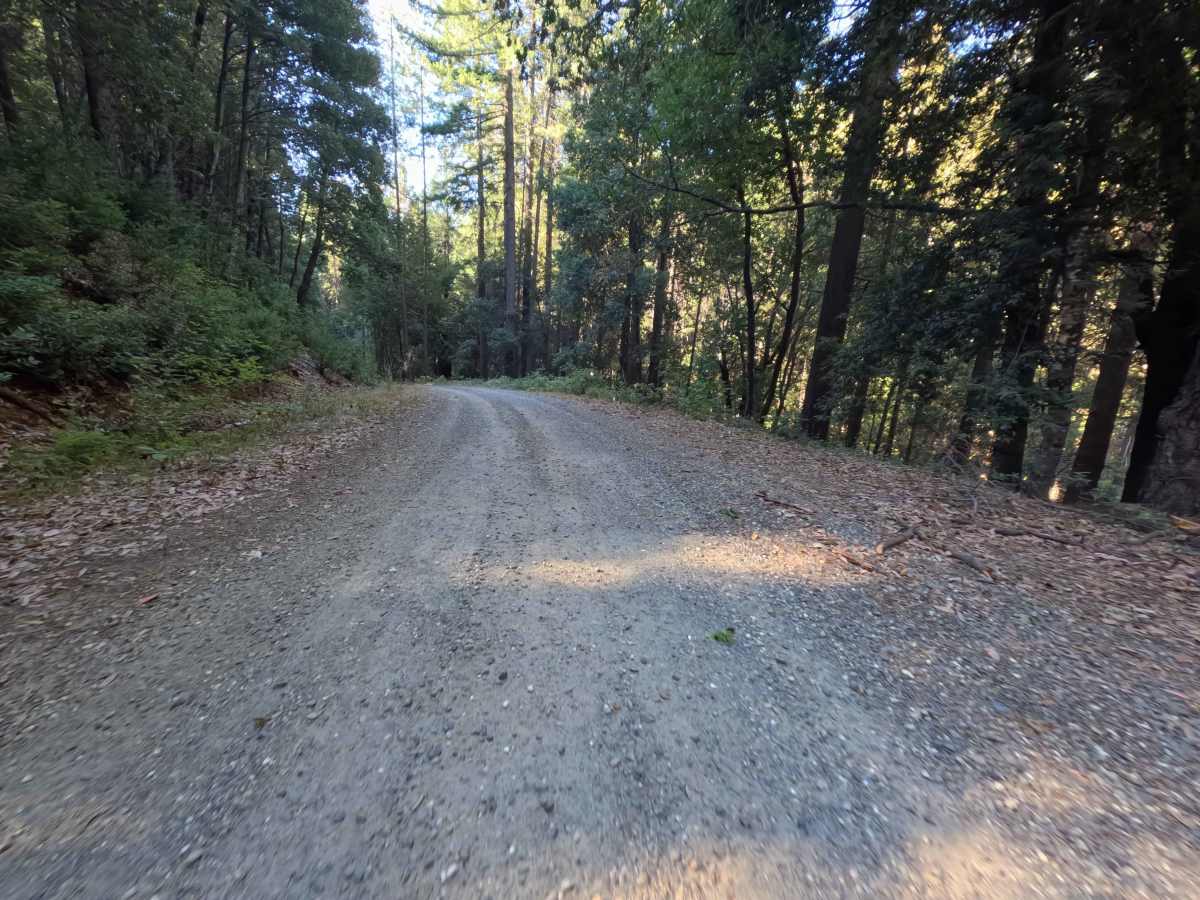 Dry Creek - FS 19N25  photo 3