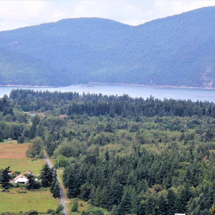 Near Guemes Mountain Trail