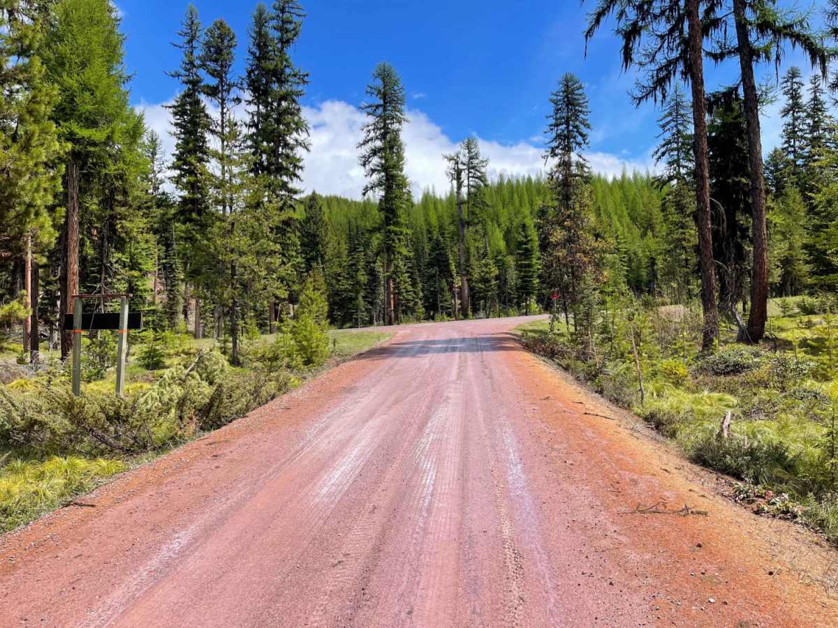 West Fork Clearwater River photo 5