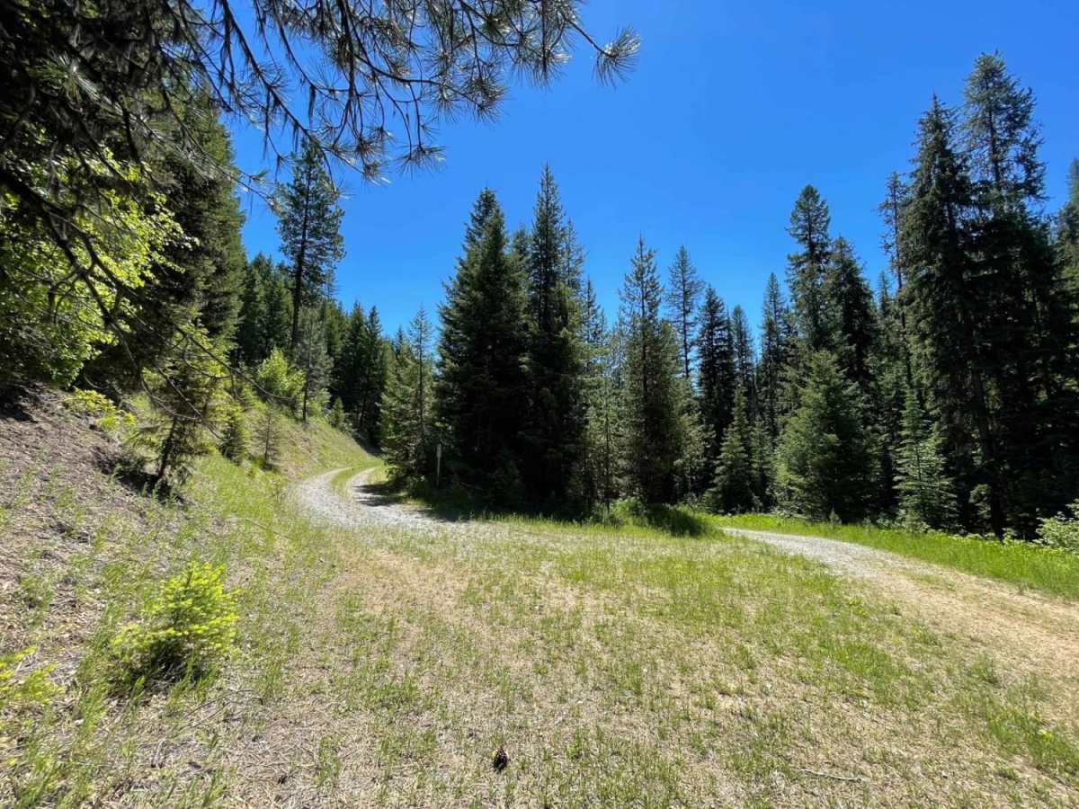 Wallace Spur trail photo