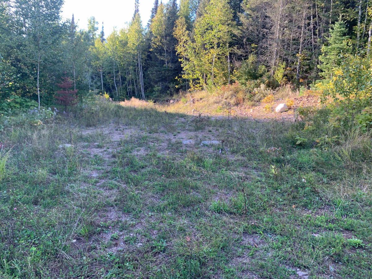 Frank Lake South Trail - FS 1885A photo 3