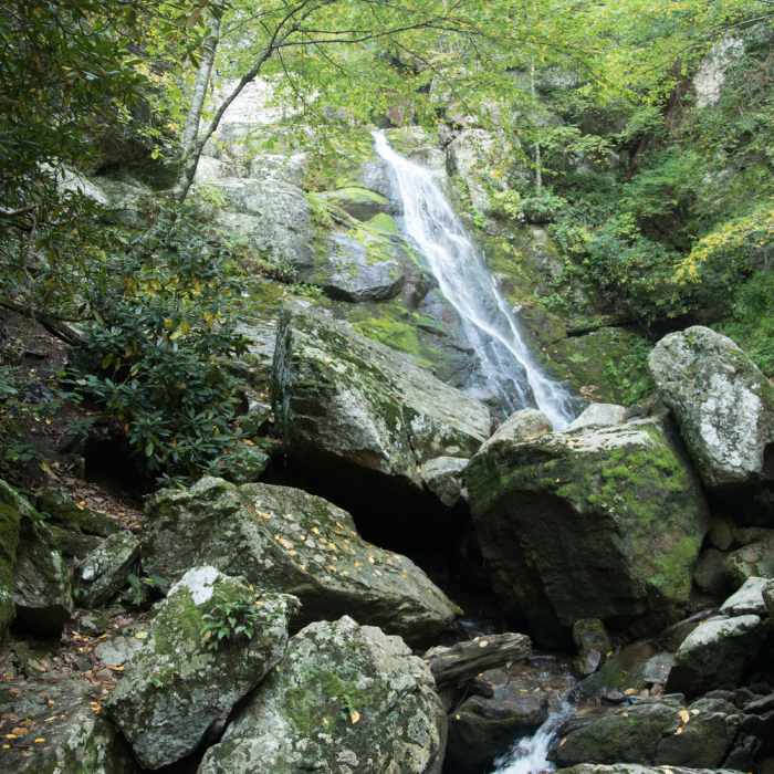 Near Stiles Falls Trail