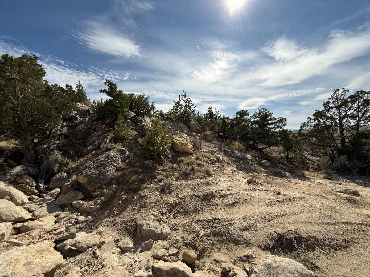 Tommy Trail photo 2