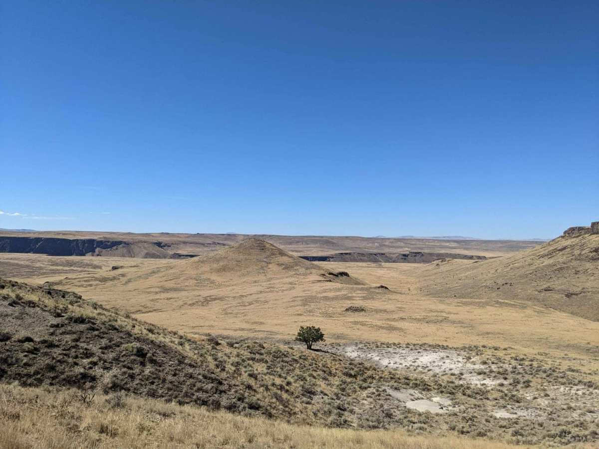 Jackson's Cat Trail trail photo