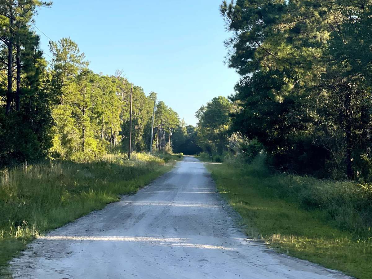 Ranch Road photo 5
