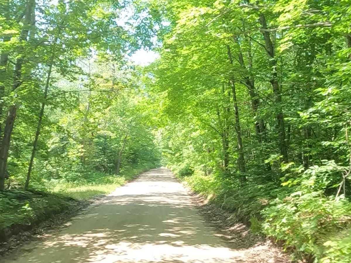 Pohlman Drive photo 5