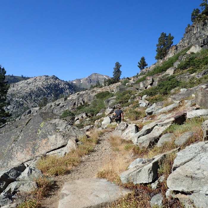 Near Granite Chief Trail