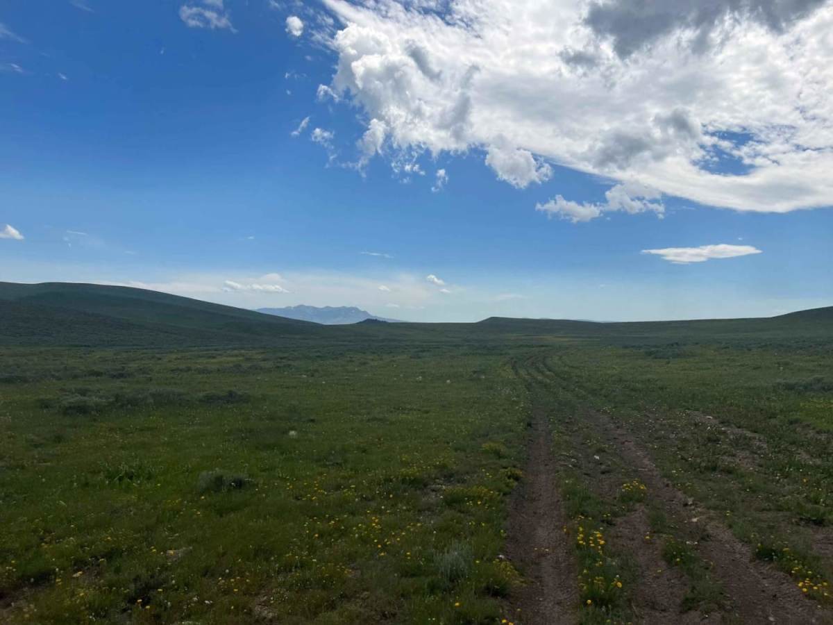 Fish Creek Ridge Road (FS 9626) trail photo