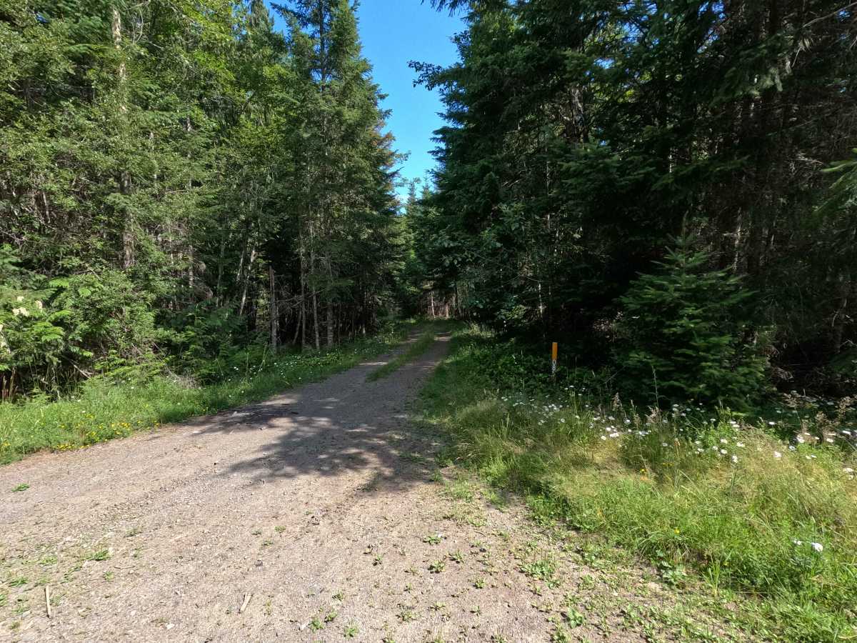 FS 2878085 trail photo