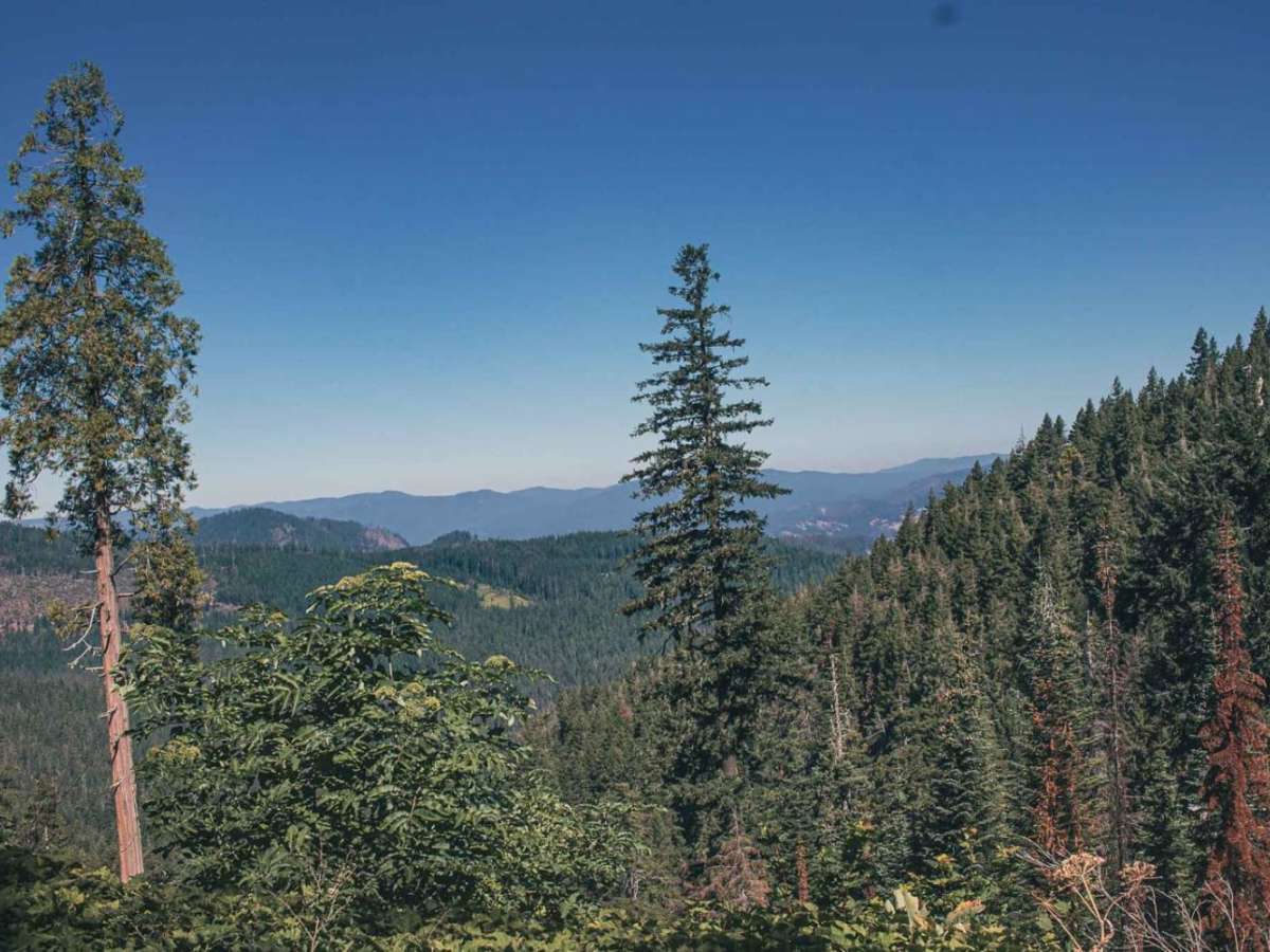 Twin Lakes trail photo