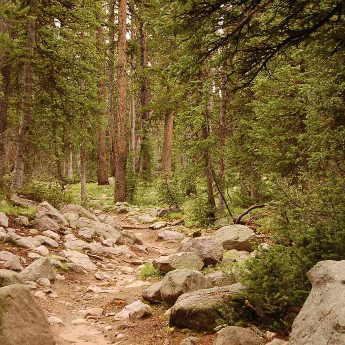 Near Four Lakes Basin Near Four Lakes Basin