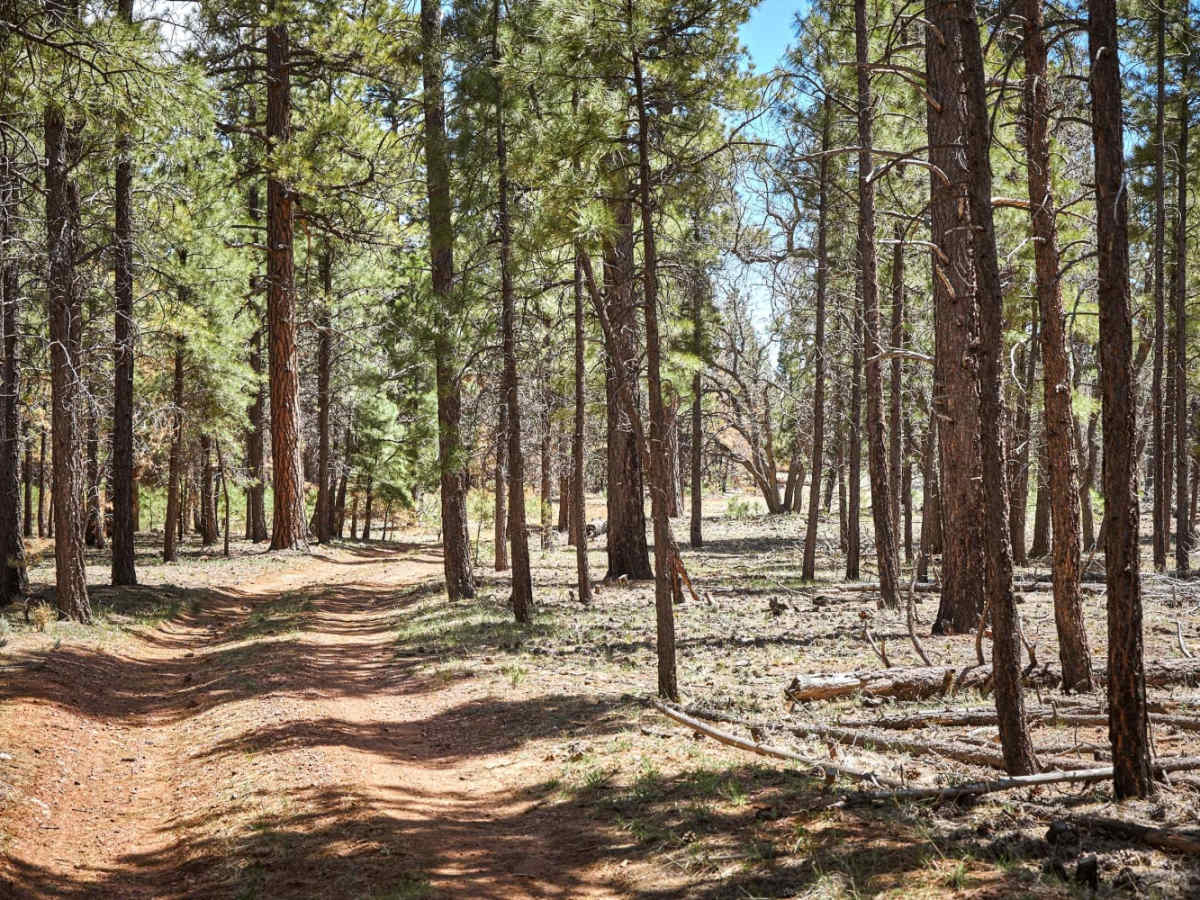 FR 2752 photo 2