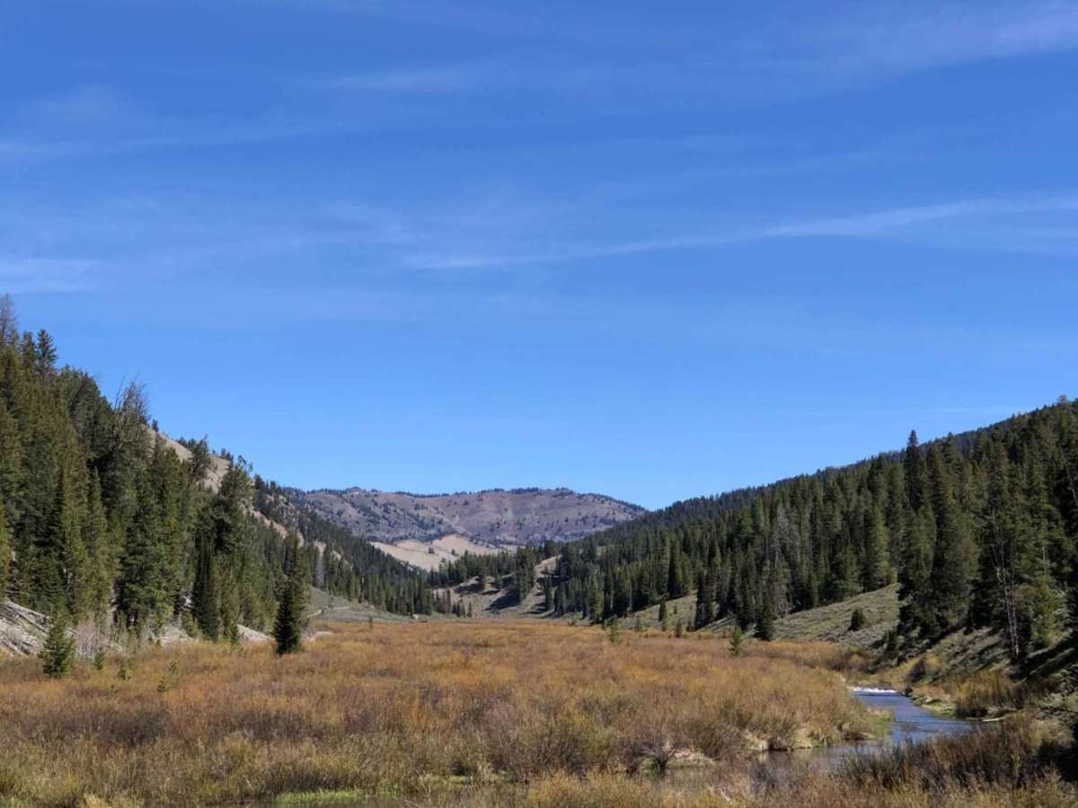 Hobble Creek photo 2