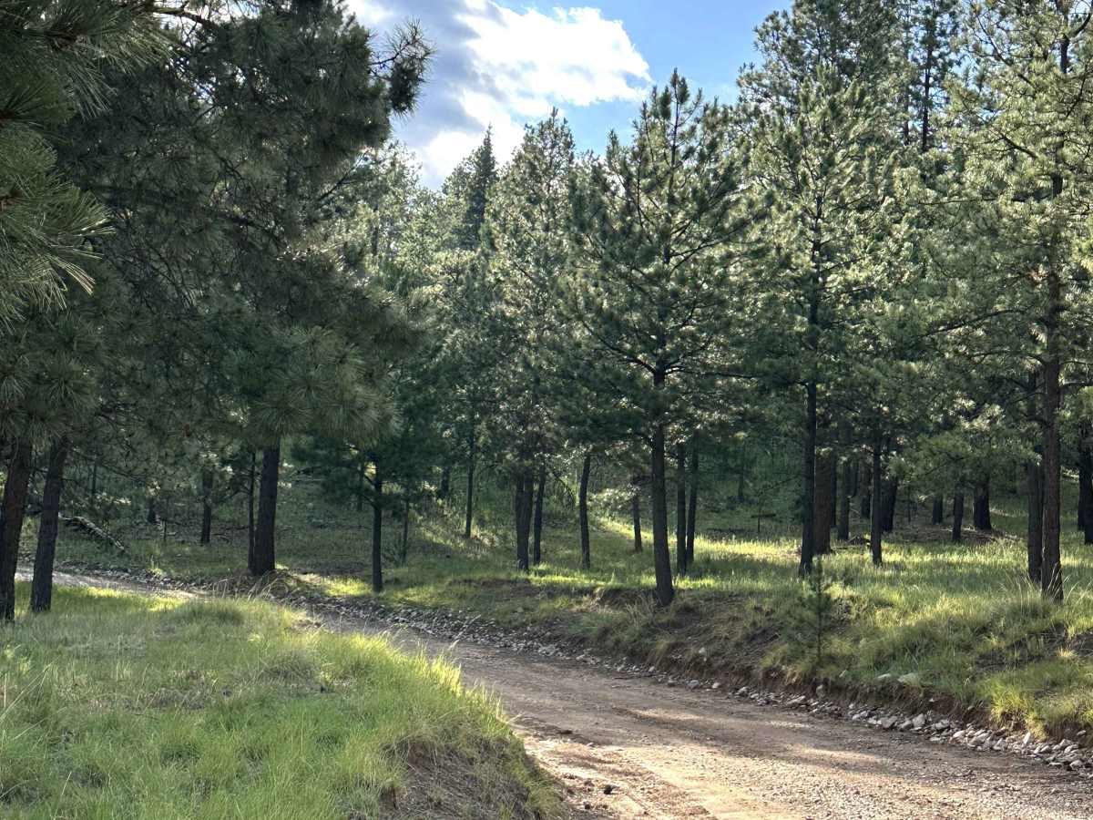 Perk Canyon photo 6