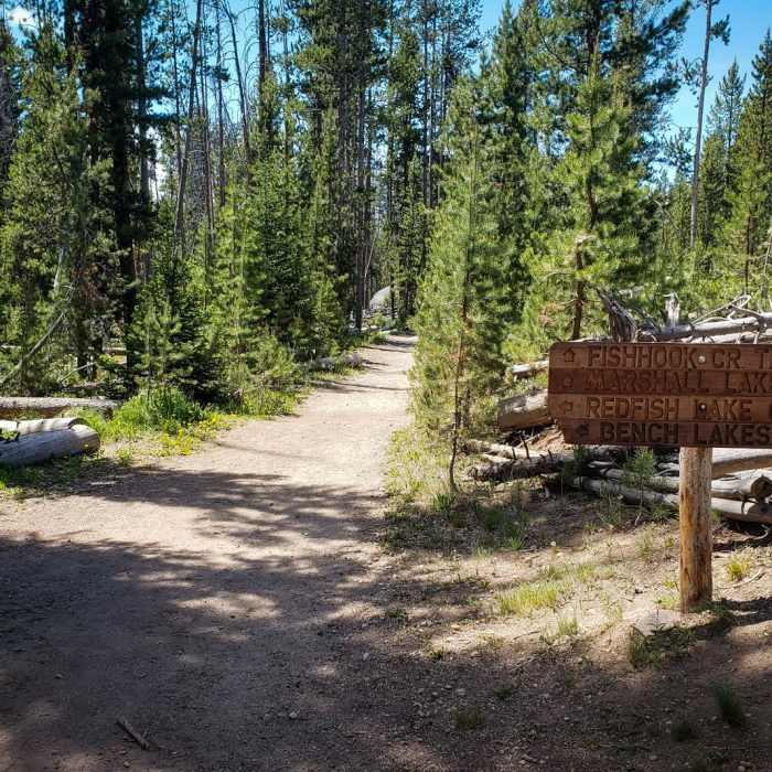 Near Fishhook Creek Trail