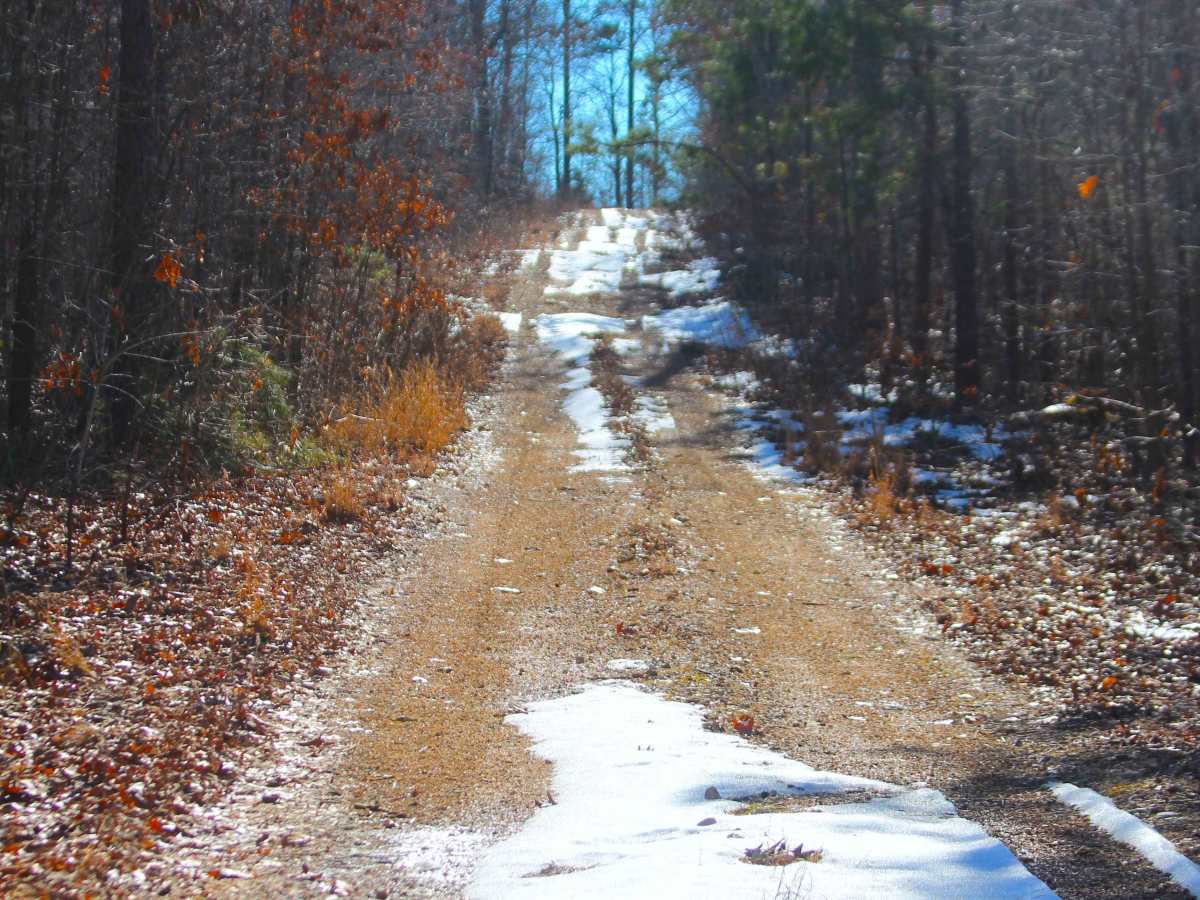 Buzzard Ridge - FS 2677 trail photo