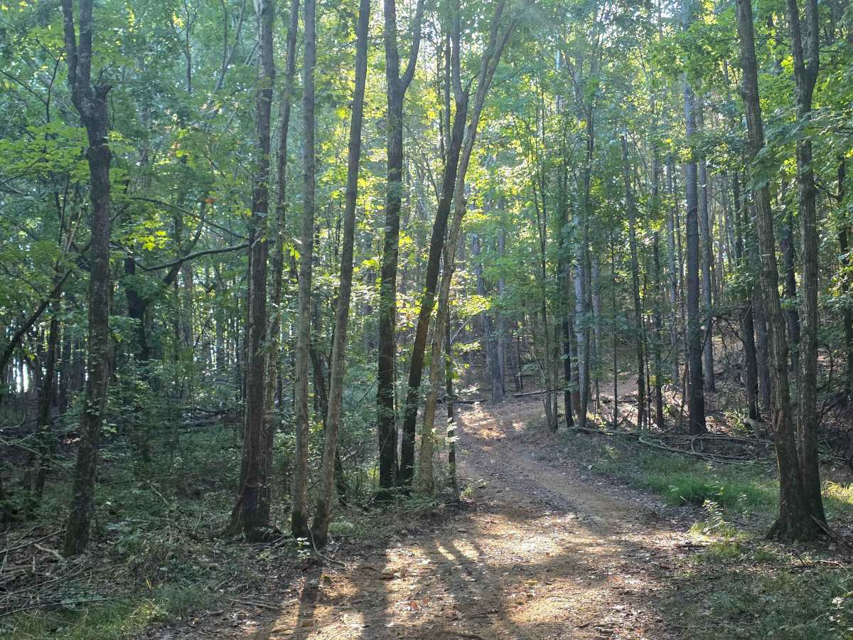 Sink Hole Loop trail photo