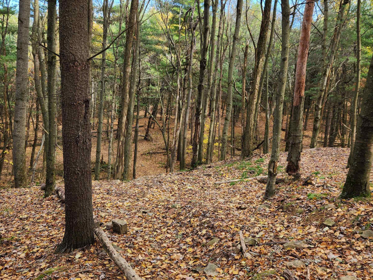 OHV 6 - Rock Run Recreation Area photo 5