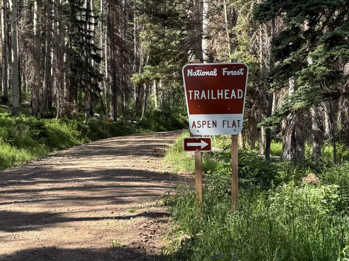 Aspen Flat Trail No. 018 trail photo