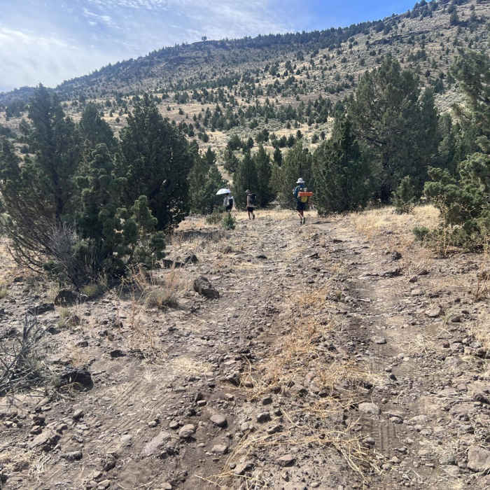 Near Donner Und Blitzen River Hike Near Donner Und Blitzen River Hike