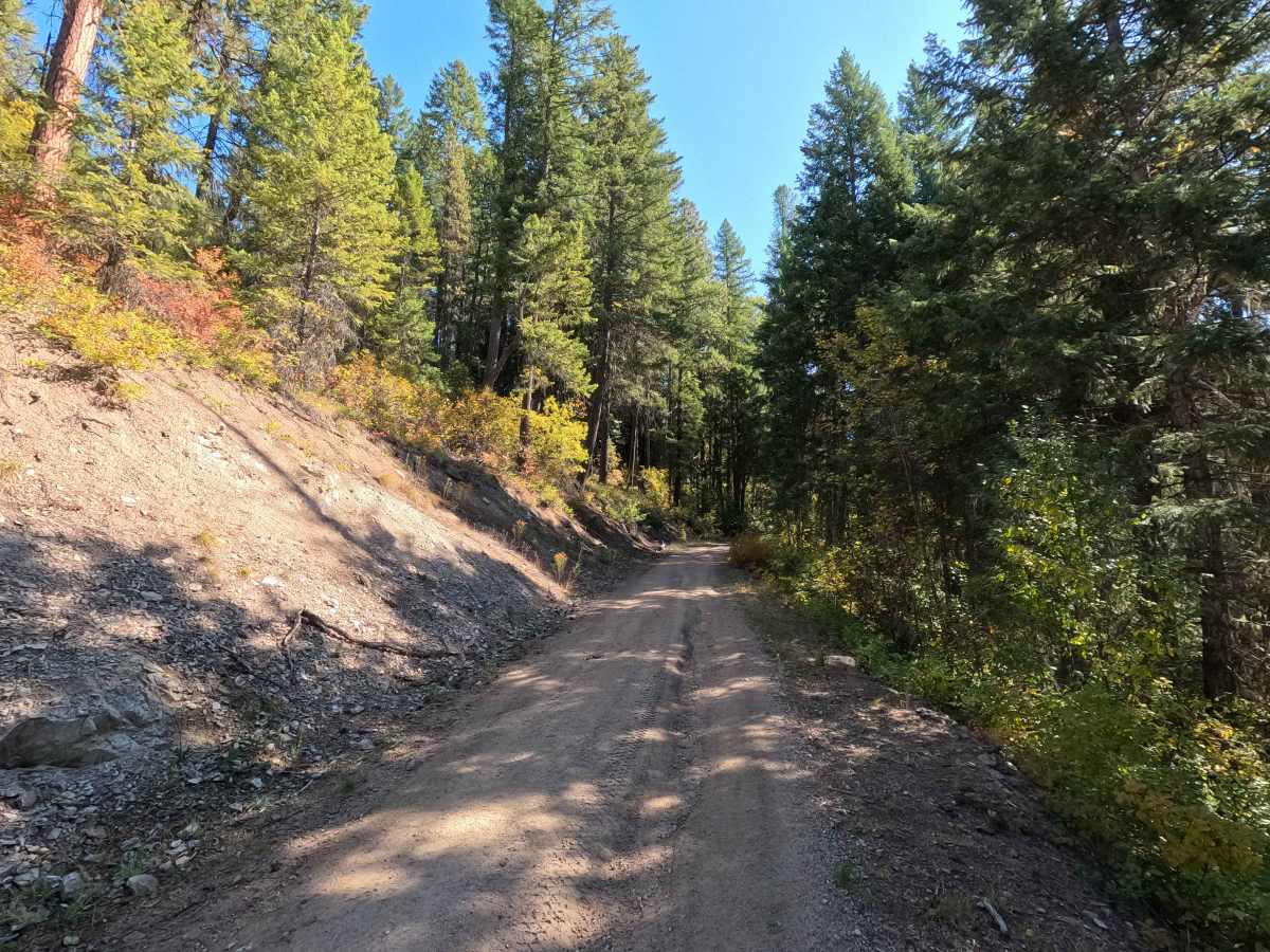 Little Twin Lakes Road - FS 7005300 photo 2