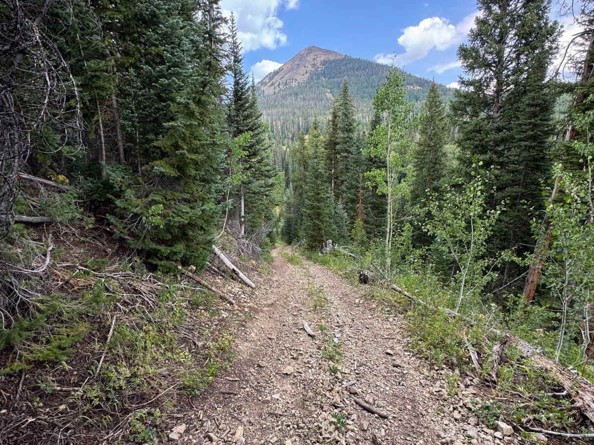 Little Mountain Road photo 3
