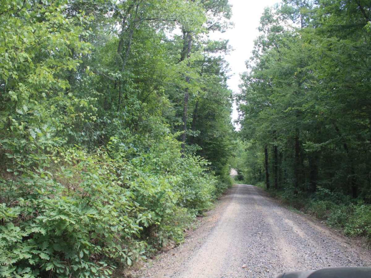 Polk Road 34 to Camping photo 2