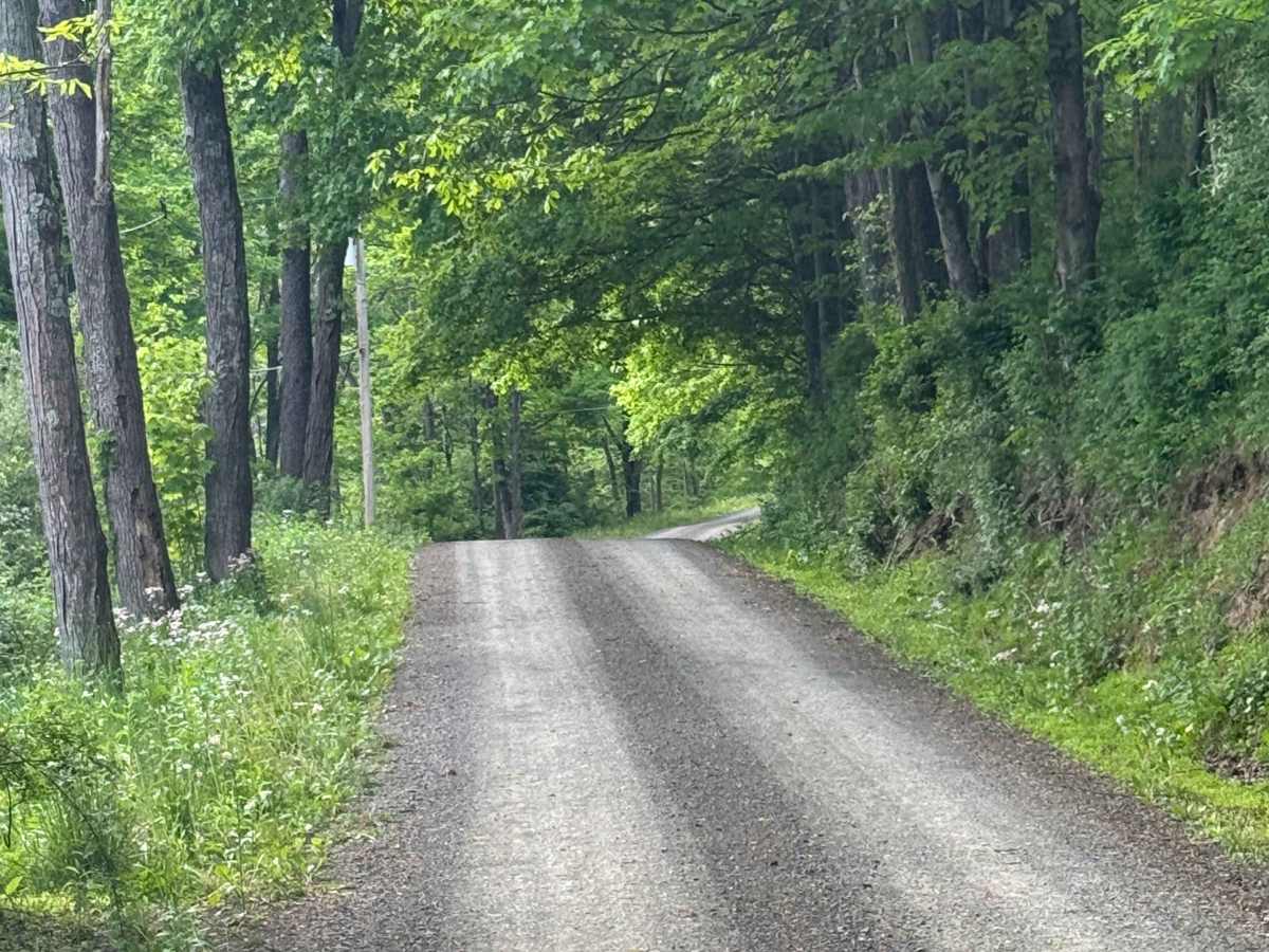 Greens Run Road trail photo