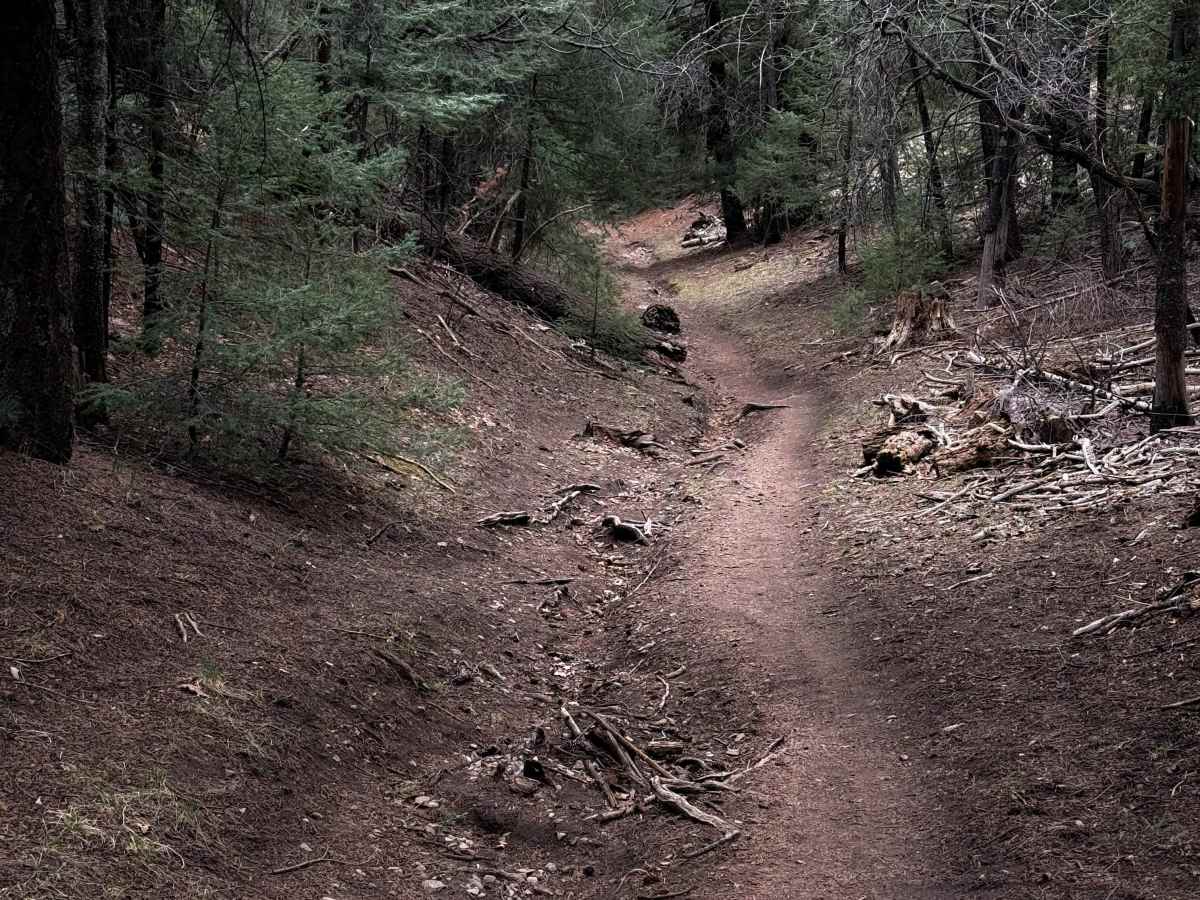 Little Apache Trail  photo 4