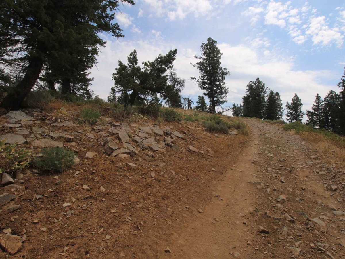 Mill Hollow 4x4 - FS 20248 trail photo