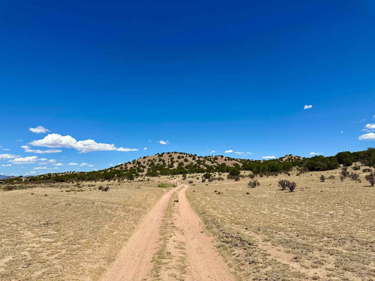 Dispersed Camping Trail trail photo