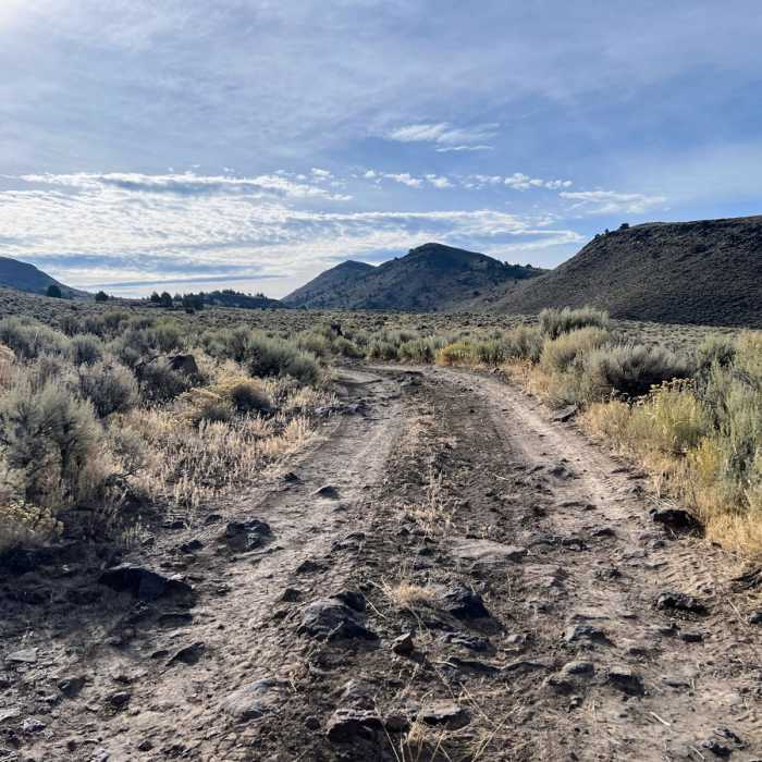 Near Hart Lake to Hart Mountain Hot Springs