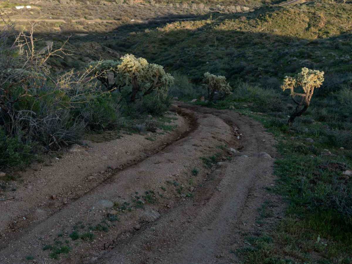 Hill Of Doom - FS 255 photo 4