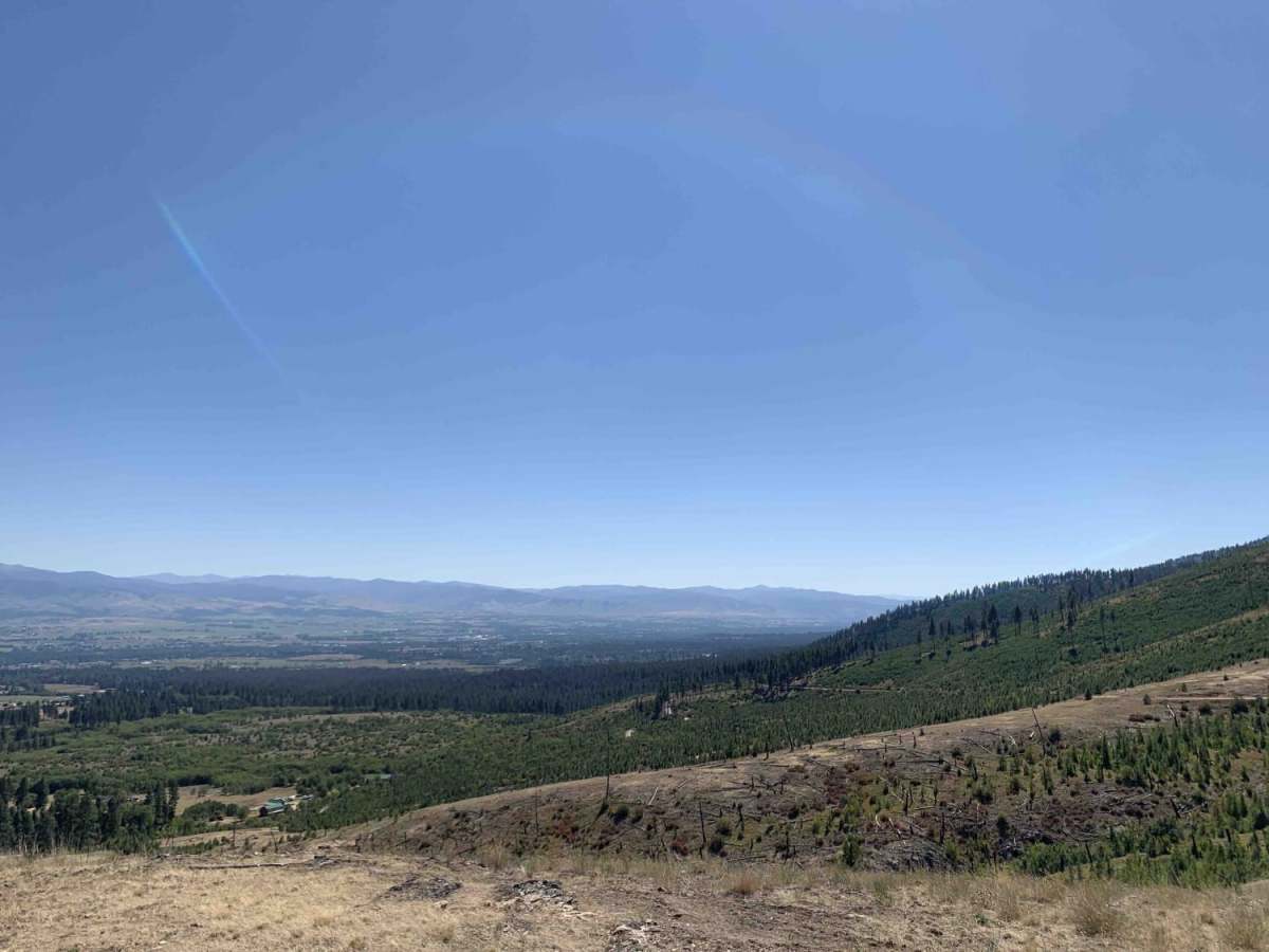 Cow Creek Road and Shiefman Hiking Trail photo 2