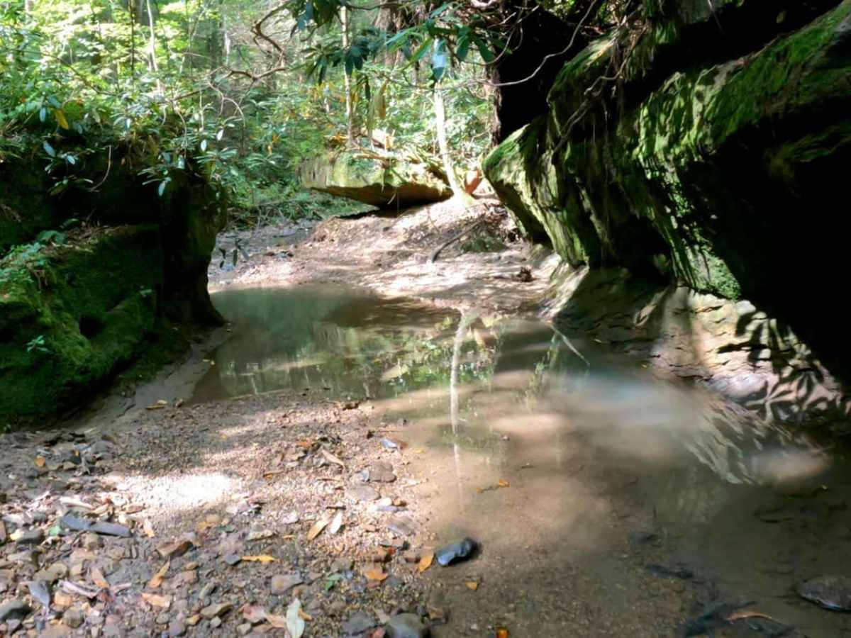 Cowen Creek photo 5