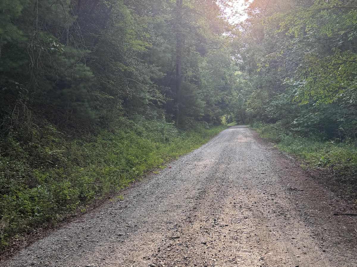 Boone Fork - FS 2055 photo 5