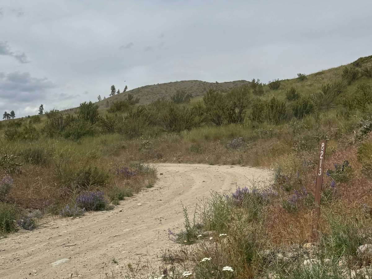 Johnson Creek Road - FS 8213 trail photo