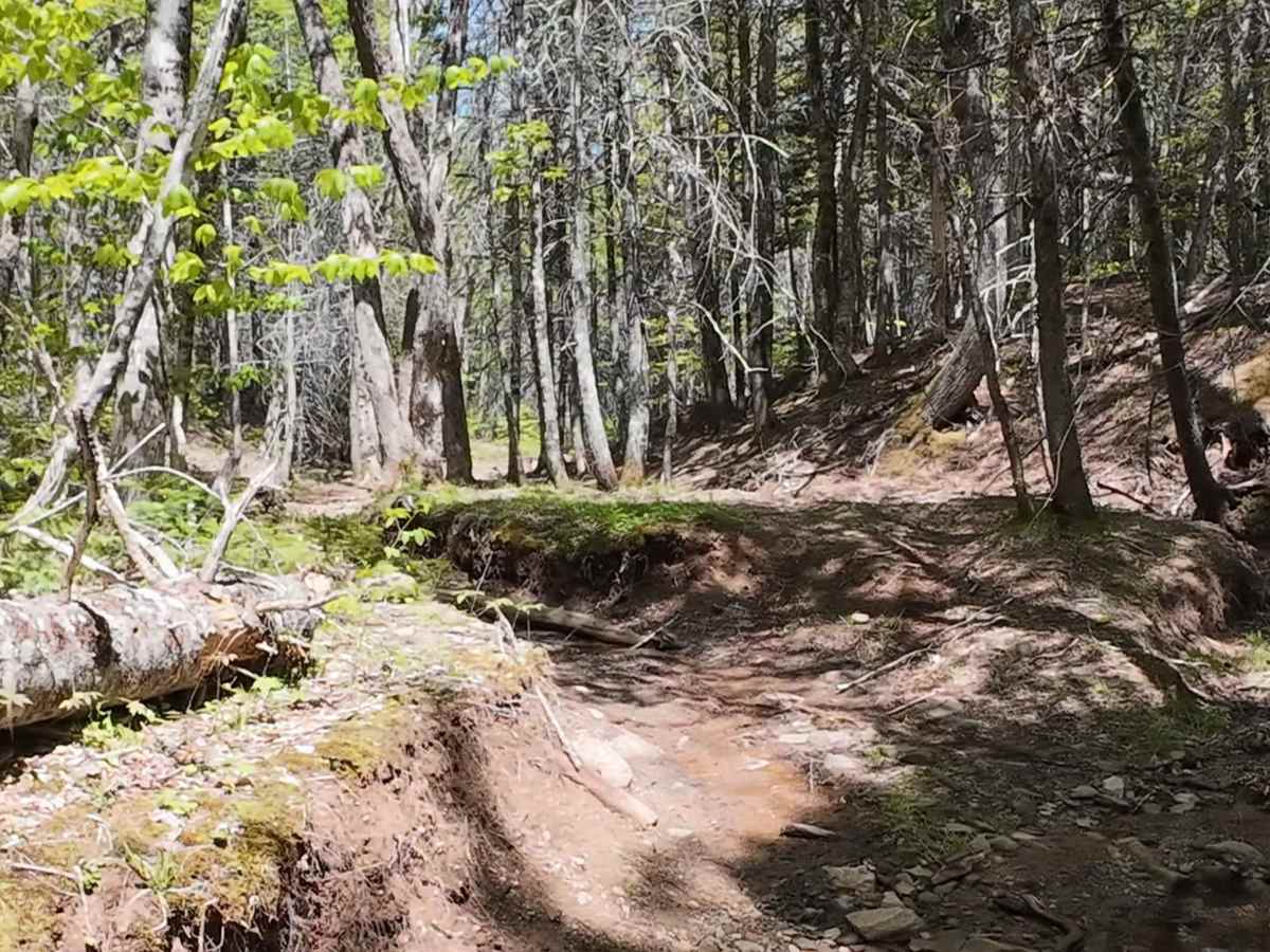 Pecks "Pucker Up" Offshoot trail photo