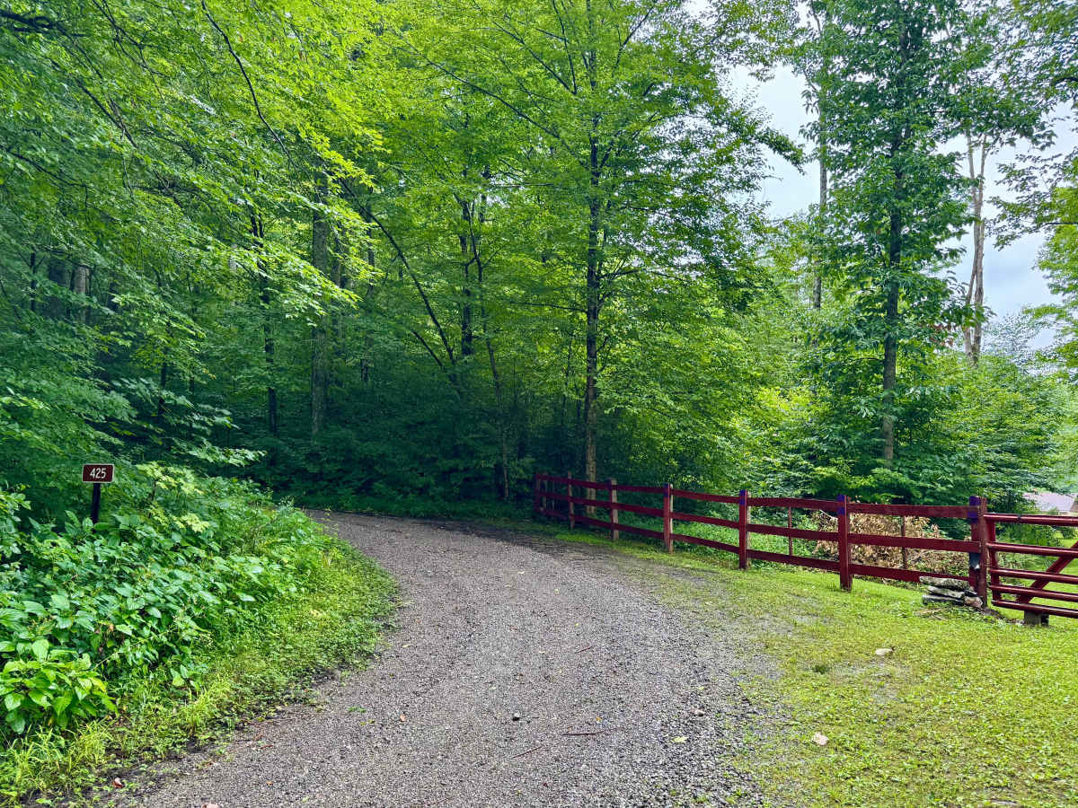 Laurel Run - FS 425 trail photo