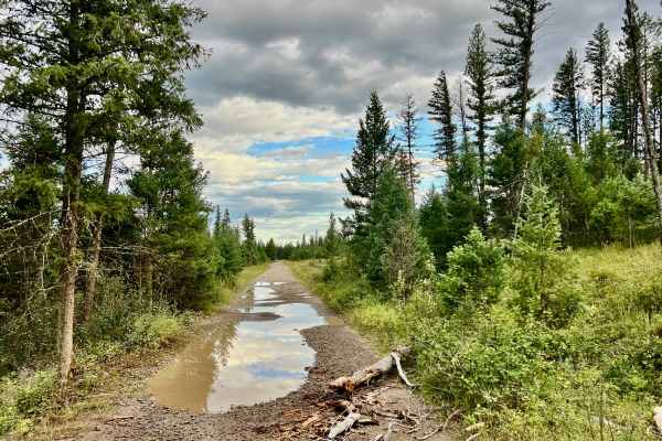 Rock Lake Road